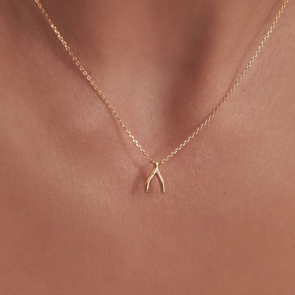 Wishbone Necklace in Sterling Silver